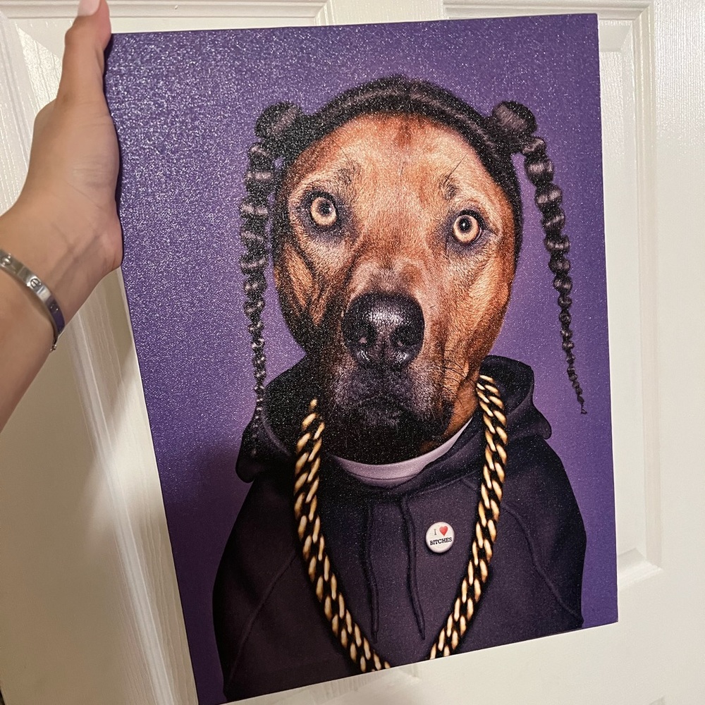 Snoop dog picture